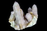 Cactus Quartz (Amethyst) Cluster - South Africa #122362-1